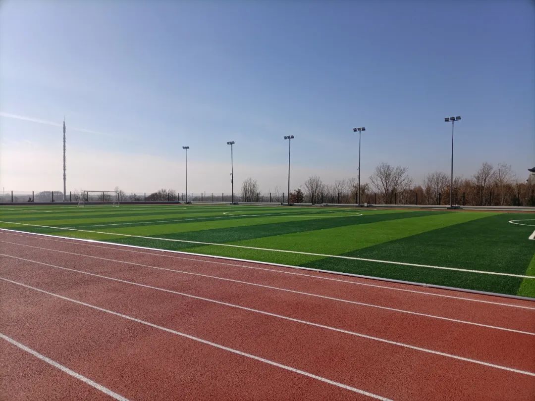 1688524146169177.jpg 640 (3).jpg